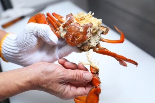 どうまん蟹 その他の爪を外します。取りにくい時はハサミや包丁を使って下さい。