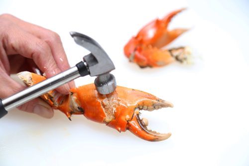 どうまん蟹 とても頑丈なハサミ部分は同梱のハンマーで割って身を取り出します。