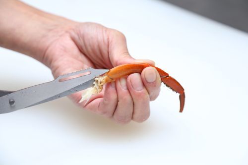 どうまん蟹 爪など硬い・細かい部分の解体には同梱されているハンマーとハサミを使うと便利です。